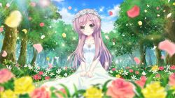 Rule 34 | 1girl, blue sky, breasts, bride, cloud, collarbone, daisy, day, dot nose, dress, film grain, flower, flower wreath, game cg, green eyes, hands on lap, head tilt, izumi tsubasu, kneeling, lens flare, long dress, long hair, looking at viewer, misaki sango, non-web source, official art, outdoors, petals, pink flower, pink rose, purple hair, re:stage!, rose, rose petals, sky, small breasts, smile, solo, sparkle, tree, wedding, wedding dress, white flower, white rose, yellow flower, yellow rose