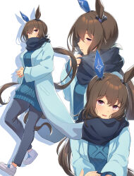 Rule 34 | 1girl, adjusting scarf, admire vega (umamusume), animal ears, aran sweater, blue coat, blue pants, blue scarf, blue sweater, breasts, brown hair, cable knit, coat, covered mouth, dress, ear covers, enpera, full body, hair between eyes, highres, holding hands, horse ears, horse girl, horse tail, interlocked fingers, kawahara minamo, large breasts, long hair, long sleeves, looking at viewer, multiple views, open clothes, open coat, own hands together, pants, ponytail, purple eyes, scarf, shoes, simple background, sneakers, sweater, sweater dress, tail, umamusume, upper body, very long hair, white background, white footwear