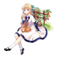 Rule 34 | 1girl, bad id, bad pixiv id, blonde hair, blue eyes, cat, diten, fantasy, long hair, mary janes, shoes, simple background, sitting, smile, solo, tales weaver, white background