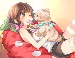 Rule 34 | 1girl, ;), animal, bare arms, bare shoulders, blush, bow, brown eyes, brown hair, brown shorts, camisole, candy, commentary request, dog, food, food in mouth, hair bow, kuga tsukasa, lollipop, long hair, low twintails, lying, mouth hold, on back, one eye closed, original, pillow, pink bow, polka dot, polka dot bow, short shorts, shorts, smile, solo, star (symbol), striped clothes, striped thighhighs, swirl lollipop, thighhighs, twintails, white camisole