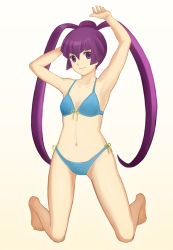 Rule 34 | 1girl, ar tonelico, ar tonelico iii, breasts, cleavage, commentary request, finnel (ar tonelico), long hair, poppopoppo, purple eyes, purple hair, smile, solo, swimsuit, twintails