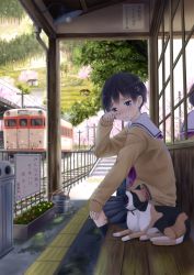 Rule 34 | 1girl, bench, black eyes, black hair, blush, bucket, calico, cat, cherry blossoms, crying, flower, hair ornament, hairclip, hand on own face, hat, highres, hill, looking at viewer, original, paw print, petals, railing, railroad tracks, recycle bin, reflection, sad, school uniform, serafuku, short hair, sitting, solo, stairs, station master tama, sweater, tactile paving, taka (tsmix), tears, train, train station, tree, utility pole, wind, window, wiping tears, yawning