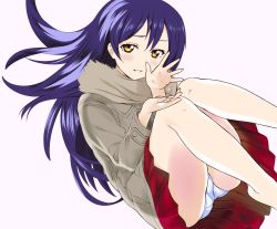 Rule 34 | 1girl, blue hair, blush, bonfurai, coat, commentary request, hair between eyes, long hair, long sleeves, looking at viewer, love live!, love live! school idol festival, love live! school idol project, panties, pantyshot, parted lips, petals, red skirt, simple background, skirt, smile, solo, sonoda umi, underwear, white background, white panties, yellow eyes