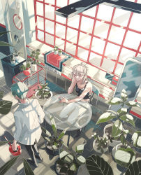 Rule 34 | 1boy, 1girl, absurdres, black pants, blonde hair, blouse, blue eyes, commentary request, day, dress shirt, from above, glass table, green hair, hair bun, half updo, head rest, highres, holding, holding watering can, indoors, long hair, long sleeves, midriff, namidashiro, original, pants, plant, potted plant, scenery, shirt, short hair, single hair bun, sitting, standing, sunlight, table, tile floor, tiles, watering can, white pants, white shirt, window