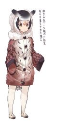 Rule 34 | 1girl, bird tail, black hair, brown coat, coat, cosplay, eurasian eagle owl (kemono friends), eurasian eagle owl (kemono friends) (cosplay), expressionless, full body, fur collar, head wings, highres, kemono friends, long sleeves, multicolored coat, multicolored hair, northern white-faced owl (kemono friends), oversized object, simple background, solo, tadano magu, tail, translated, white background, white coat, white hair, wings, yellow eyes