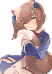 Rule 34 | 1girl, animal ear fluff, animal ears, blue bow, blue dress, blush, bow, bowtie, brown eyes, brown hair, commission, dress, hair bow, hair ornament, hairclip, head tilt, highres, looking at viewer, noa0319, original, pout, red bow, red bowtie, simple background, skeb commission, solo, tail, two side up, white background