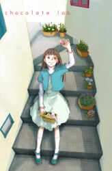 Rule 34 | 1girl, aqua footwear, aqua jacket, arm up, blunt bangs, box, brown eyes, brown hair, circle name, cropped jacket, day, dress, flower, from above, full body, green dress, holding, jacket, kneehighs, layered sleeves, long hair, long sleeves, looking at object, looking up, on floor, original, outdoors, pink flower, plant, potted plant, shirt, shoes, short over long sleeves, short sleeves, sitting, smile, socks, solo, sorame, stairs, straight hair, sunlight, turtleneck, white flower, white shirt, white socks, yellow flower