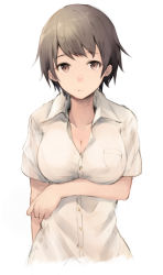 Rule 34 | 1girl, bad id, bad pixiv id, blush, breast hold, breasts, brown eyes, brown hair, cleavage, collarbone, collared shirt, commentary request, dress shirt, highres, koretsuki aduma, large breasts, looking at viewer, nose blush, original, shirt, short hair, short sleeves, solo, upper body, white background, white shirt, wing collar