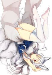 Rule 34 | 1girl, animal ears, armpits, fox ears, fox tail, japanese clothes, long hair, looking at viewer, multiple tails, nosuku, original, panties, red eyes, simple background, smile, solo, tail, thighhighs, underwear, upside-down, white background, white hair, white panties, white thighhighs