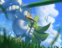 Rule 34 | bird, cloud, commentary request, creatures (company), day, from below, game freak, gen 8 pokemon, grass, holding, holding weapon, nintendo, no humans, open mouth, outdoors, pokemon, pokemon (creature), shield, sirfetch&#039;d, sky, solo, spareribs, spring onion, weapon