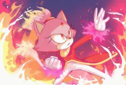 Rule 34 | 1girl, absurdres, animal ears, blaze the cat, burning, burning blaze, cat ears, cat girl, cat tail, eyelashes, fire, flowerqliphoth, forehead jewel, furry, furry female, gloves, gold necklace, highres, jacket, jewelry, necklace, pants, pink fur, red jacket, sonic (series), sonic rush, sonic rush adventure, tail, white gloves, white pants