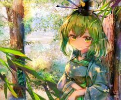 Rule 34 | 1girl, adapted costume, black hat, breasts, closed mouth, commentary, green eyes, green hair, hat, highres, itsumizu, large breasts, long sleeves, looking at viewer, outdoors, short hair, smile, soga no tojiko, solo, tate eboshi, touhou, tree