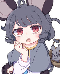 Rule 34 | 1girl, absurdres, ahoge, animal, animal ears, black dress, blush, capelet, commentary, dress, grey capelet, grey hair, highres, kame (kamepan44231), long sleeves, looking at viewer, mouse (animal), mouse ears, mouse tail, nazrin, open mouth, short hair, simple background, solo, tail, touhou, white background