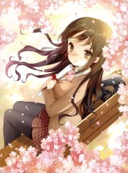 Rule 34 | 1girl, absurdres, bag, bench, black pantyhose, blazer, blush, bow, bowtie, briefcase, brown eyes, brown hair, cherry blossoms, cuteg, diploma, from above, highres, jacket, long hair, looking at viewer, original, pantyhose, petals, plaid, plaid skirt, pleated skirt, school bag, school briefcase, sitting, skirt, smile, solo, tears