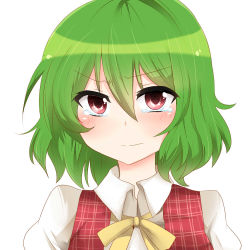 1girl ascot blush female_focus green_hair kazami_yuuka ochazuke plaid red_eyes simple_background solo tears touhou upper_body white_background