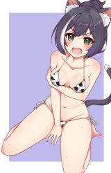 Rule 34 | animal ear fluff, animal ears, animal print, arm under breasts, bare arms, bare legs, bare shoulders, barefoot, between legs, bikini, black hair, blush, border, breasts, cat ears, cat girl, cat tail, cleavage, collarbone, cow print, fang, hand between legs, hand on own arm, highres, k-y, karyl (princess connect!), medium breasts, multicolored hair, navel, open mouth, outside border, ponytail, princess connect!, print bikini, purple background, ribbon, short hair, side-tie bikini bottom, simple background, sitting, solo, stomach, streaked hair, sweat, swimsuit, tail, thighs, v-shaped eyebrows, wariza, white border, white hair, white ribbon