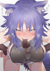 Rule 34 | 1girl, animal ear fluff, animal ears, blue hair, blurry, blush, breasts, brown eyes, candy, chocolate, chocolate heart, commentary request, covered erect nipples, depth of field, embarrassed, eyes visible through hair, food, foreshortening, hands on own hips, heart, heterochromia, highres, karochii, leaning forward, makoto (princess connect!), princess connect!, purple hair, short shorts, shorts, solo, sweat, tail, wavy mouth