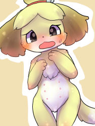 Rule 34 | 1girl, animal crossing, animal ears, ayahana, bell, black eyes, blonde hair, blush, dog ears, dog tail, embarrassed, extra breasts, female focus, flat chest, furry, furry female, hair bell, hair ornament, hands up, isabelle (animal crossing), looking at viewer, nintendo, nipples, nude, open mouth, outline, short hair, simple background, solo, standing, sweat, tail, yellow background
