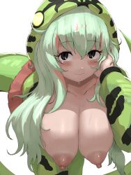 Rule 34 | 1girl, :&gt;, alternate breast size, animal print, bent over, black eyes, blush, boomslang (kemono friends), breasts, closed mouth, collarbone, colored inner hair, green hair, hair between eyes, hand up, hanging breasts, highres, hood, hood up, hooded jacket, huge breasts, jacket, kemono friends, large areolae, looking at viewer, multicolored hair, nipples, no bra, open clothes, open jacket, pantyhose, print jacket, red hair, shibori kasu, simple background, skirt, smile, snake print, snake tail, solo, sweat, tail, two-tone hair, white background