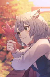 Rule 34 | 1girl, animal ear fluff, animal ears, autumn leaves, blue dress, blurry, blurry background, brown eyes, closed mouth, commentary request, day, depth of field, dress, grey hair, hair between eyes, highres, holding, holding leaf, leaf, long sleeves, maple leaf, mio (xenoblade), outdoors, puffy long sleeves, puffy sleeves, shirt, sleeveless, sleeveless dress, smile, solo, twitter username, upper body, white shirt, xenoblade chronicles (series), xenoblade chronicles 3, yanagimachi