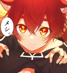 Rule 34 | 1boy, :3, animal ears, bandaid, bandaid on hand, black shirt, blush, child, closed mouth, food, food on face, highres, looking at viewer, looking up, male focus, original, pov, red hair, shirt, short hair, short sleeves, solo, tatsu wan, thick eyebrows, translation request, wolf boy, wolf ears