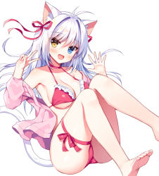 Rule 34 | 1girl, :d, aina rive, animal ear fluff, animal ears, armpits, ass, bare shoulders, barefoot, bikini, blue eyes, breasts, cat ears, cat girl, cat tail, choker, cleavage, feet, frilled bikini, frills, hair ribbon, halterneck, hands up, heterochromia, jacket, knees up, long hair, looking at viewer, mauve, medium breasts, off shoulder, open clothes, open jacket, open mouth, original, pink jacket, red bikini, red choker, ribbon, simple background, smile, soles, solo, string bikini, swimsuit, tail, thigh strap, thighs, toes, v, white background, white hair, yellow eyes