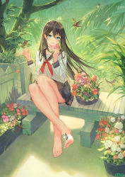 Rule 34 | 1girl, animal, artist name, atdan, bare legs, barefoot, bench, bird, bird on hand, black sailor collar, black skirt, blush, breasts, brown hair, bug, butterfly, collarbone, commentary, english commentary, feet, flower, full body, green eyes, hair between eyes, hands up, head tilt, highres, holding, holding flower, insect, leaf, long hair, long sleeves, looking at viewer, nature, neckerchief, on bench, on finger, original, parted lips, pink flower, pleated skirt, purple flower, red flower, sailor collar, school uniform, serafuku, shirt, sitting, skirt, small breasts, smile, solo, toes, tree, very long hair, white shirt