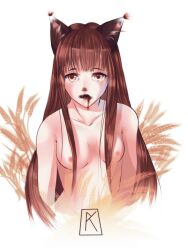 Rule 34 | 1girl, animal ears, blood, breasts, brown hair, holo, long hair, medium breasts, nude, orange eyes, red eyes, small breasts, solo, spice and wolf, tail, upper body, wolf ears, wolf girl, wolf tail