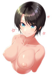 Rule 34 | 1girl, aqua eyes, blush, breasts, brown hair, closed mouth, collarbone, highres, hololive, large breasts, looking at viewer, nipples, nude, oozora subaru, short hair, simple background, smile, solo, swept bangs, tro, virtual youtuber, white background