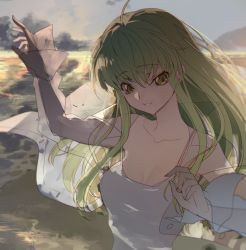 Rule 34 | 1girl, c.c., cloud, code geass, collarbone, commentary, creayus, dress, green hair, long hair, looking at viewer, outdoors, see-through, see-through sleeves, sky, smile, solo, sunset, symbol-only commentary, upper body, white dress, yellow eyes