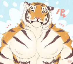 Rule 34 | 1boy, animal ears, artist name, bara, black fur, blue background, body fur, closed mouth, ear down, furry, furry male, highres, large pectorals, looking at viewer, male focus, muscular, muscular male, one eye closed, orange fur, original, pectorals, solo, teru suzu, tiger boy, tiger ears, tiger stripes, upper body, whiskers, white fur, yellow eyes