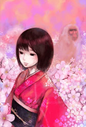 Rule 34 | black eyes, cherry blossoms, japanese clothes, kimono, monkey, non-web source, red hair, short hair, solo