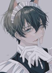 Rule 34 | 1boy, animal ears, black hair, blood, blood on face, blue eyes, cat boy, cat ears, closed mouth, ear piercing, earrings, expressionless, fang, gloves, grey background, hair between eyes, highres, jewelry, looking at viewer, maid, maid headdress, male focus, mole, mole under eye, original, piercing, portrait, simple background, skin fang, solo, sosaku 25, white gloves