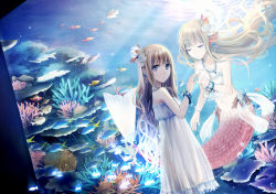 Rule 34 | 2girls, amamizu (pixiv), angelfish, aquarium, bandeau, blonde hair, bracelet, brown hair, closed eyes, coral, dress, dual persona, dutch angle, earrings, fins, fish, floating hair, hair ornament, hand on glass, head fins, highres, jewelry, light rays, long hair, looking at viewer, looking back, mermaid, monster girl, multiple girls, necklace, original, scales, strapless, strapless dress, sunbeam, sunlight, tropical fish, usui (tripcube), water
