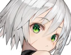 Rule 34 | 1girl, :&lt;, bare shoulders, blush, commentary request, fate/apocrypha, fate (series), green eyes, grey hair, hair between eyes, jack the ripper (fate/apocrypha), looking at viewer, nyatabe, portrait, scar, scar across eye, scar on face, simple background, solo, white background