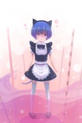 Rule 34 | 10s, 1girl, :&lt;, alternate costume, animal ears, annoyed, ano natsu de matteru, apron, blue hair, cat ears, cat tail, chestnut mouth, enmaided, full body, hairband, highres, kemonomimi mode, lif (lif &amp; ref), maid, maid apron, pigeon-toed, short hair, solo, standing, tail, tanigawa kanna, thighhighs, waist apron, white thighhighs