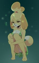 Rule 34 | 1girl, :3, animal crossing, animal ears, animal hands, aqua background, artist name, bare shoulders, barefoot, bell, blonde hair, breasts, brown eyes, cleavage, coffeechicken, collarbone, dog ears, dog girl, dog tail, dress, female focus, full body, furry, furry female, grass, green background, green dress, hair bell, hair ornament, hair tie, half-closed eyes, happy, highres, isabelle (animal crossing), jingle bell, jpeg artifacts, medium breasts, nintendo, no panties, off shoulder, open mouth, plaid, plaid dress, pussy, shiny skin, short hair, simple background, sleeveless, sleeveless dress, smile, solo, spaghetti strap, squatting, tail, teeth, topknot, uncensored, upskirt, watermark