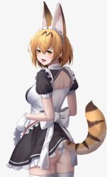 Rule 34 | 1girl, :d, animal ear fluff, animal ears, apron, apron lift, ass, back cutout, blonde hair, breasts, clothes lift, clothing cutout, commentary, cowboy shot, deku suke, ear piercing, english commentary, extra ears, fangs, frills, from behind, gloves, hair between eyes, highres, kemono friends, lifting own clothes, looking at viewer, looking back, maid, maid headdress, medium breasts, official alternate costume, open mouth, panties, piercing, puffy short sleeves, puffy sleeves, serval (kemono friends), short hair, short sleeves, simple background, smile, solo, tail, thighhighs, tongue, tongue out, underwear, waist apron, white background, white gloves, white panties, white thighhighs, yellow eyes