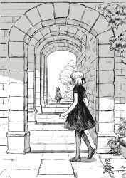 Rule 34 | 1girl, animal, arch, bare arms, bow, braid, brick floor, building, cat, clothed animal, collar, collared dress, dress, flower, french braid, frilled collar, frills, from behind, greyscale, hair bow, high heels, highres, medium dress, monochrome, original, outdoors, pantyhose, pumps, shadow, short hair, short sleeves, tono (rt0no), tree