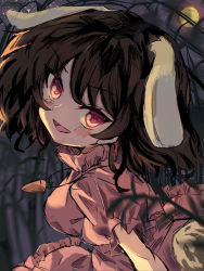 Rule 34 | 1girl, :d, animal ears, blurry, blurry foreground, blush, breasts, brown hair, carrot necklace, commentary request, dress, extra ears, full body, hair between eyes, head tilt, highres, inaba tewi, jewelry, looking at viewer, necklace, night, open mouth, outdoors, pink dress, puffy sleeves, rabbit ears, rabbit girl, rabbit tail, red eyes, sideboob, sky, smile, solo, star (sky), starry sky, sutaku77224, tail, touhou, v-shaped eyebrows