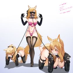 Rule 34 | 3girls, absurdres, animal ears, arknights, bdsm, bitchsuit, blemishine (arknights), blindfold, blonde hair, bondage, bone, bound, bra, celebration, closed eyes, collar, drooling, elbow gloves, english text, gag, gagged, gloves, harem, highres, lactation, latex, latex gloves, leash, looking at another, multiple girls, nearl (arknights), nipples, panties, pet play, pink bra, pink panties, ponytail, restrained, ring gag, saliva, slave, stocks, tail, thighhighs, tongue, underwear, wewlife, whislash (arknights), white background
