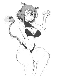 Rule 34 | 1girl, animal ears, blush, breasts, cleavage, cleavage cutout, clothing cutout, duskward, greyscale, gs16 (chug), high-waist panties, highres, indie virtual youtuber, jourjii, large breasts, looking at viewer, monochrome, multicolored hair, open mouth, shimada tiger, short hair, sitting, skindentation, solo, sports bra, sweat, tail, thick thighs, thighs, tiger ears, tiger girl, tiger tail, two-tone hair, virtual youtuber, waving