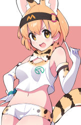 Rule 34 | 1girl, alternate costume, animal ears, bad id, bad pixiv id, black headband, bow, bowtie, breasts, commentary, fur collar, gloves, hand on own hip, headband, highres, kemono friends, logo, looking at viewer, medium breasts, micro shorts, midriff, navel, open mouth, pointing, pointing up, print bow, print bowtie, print gloves, print neckwear, print shorts, serval (kemono friends), serval print, serval tail, shorts, smirk, solo, standing, striped tail, tail, takom, tank top, traditional bowtie, v-shaped eyebrows, white gloves, white shorts