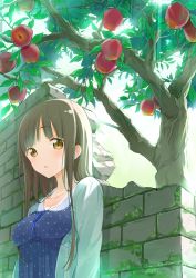 Rule 34 | 1girl, apple, apple tree, bad id, bad pixiv id, blouse, blue shirt, blush, breasts, brown eyes, brown hair, cardigan, cleavage, collarbone, dappled sunlight, day, food, fruit, highres, light rays, long hair, looking at viewer, maigoyaki, medium breasts, open cardigan, open clothes, original, outdoors, parted lips, polka dot, polka dot shirt, shirt, solo, sunbeam, sunlight, tareme, tree, upper body, wall