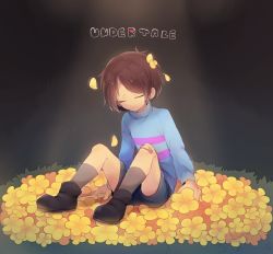 Rule 34 | androgynous, ankle boots, bandaid, bandaid on knee, bandaid on leg, boots, brown hair, closed eyes, copyright name, flower bed, frisk (undertale), gender request, highres, makoto (konbumi), open mouth, petals, shorts, sitting, socks, solo, spotlight, striped clothes, striped sweater, sweater, undertale