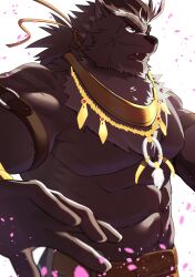 Rule 34 | 1boy, abs, absurdres, animal ears, arm belt, bara, beard, brown fur, brown hair, crave saga, dog boy, dog ears, facial hair, facial scar, foreshortening, from side, furry, furry male, gold necklace, highres, jewelry, kou (kouga0225), large pectorals, leather belt, long hair, looking to the side, male focus, mature male, multicolored hair, muscular, muscular male, navel, necklace, pectorals, petals, ponytail, scar, scar on cheek, scar on face, solo, stomach, streaked hair, topless male, upper body, white hair