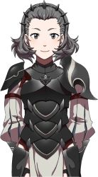 Rule 34 | 1girl, armor, fire emblem, fire emblem fates, grey hair, looking at viewer, nintendo, official art, short hair, simple background, smile, solo, sophie (fire emblem), upper body