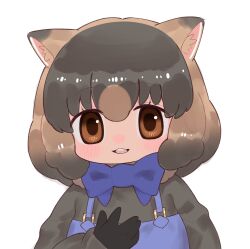 Rule 34 | 1girl, animal ears, black hair, blush, bow, bowtie, brown eyes, brown hair, common wombat (kemono friends), extra ears, gloves, highres, kemono friends, looking at viewer, multicolored hair, notora, overalls, scarf, short hair, simple background, smile, solo, sweater, two-tone hair, upper body