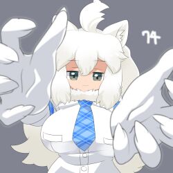 Rule 34 | 1girl, :3, ahoge, animal ear fluff, animal ears, blue necktie, blurry, blush, breasts, closed mouth, commentary request, depth of field, elbow gloves, fingernails, fur collar, gloves, grey background, grey eyes, highres, kemono friends, large breasts, lets0020, lion ears, lion girl, long hair, looking at viewer, medium bangs, necktie, numbered, plaid necktie, reaching, reaching towards viewer, shirt, sidelocks, simple background, smile, solo, upper body, white gloves, white hair, white lion (kemono friends), white shirt