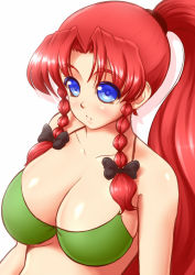 Rule 34 | 1girl, alternate costume, alternate hairstyle, bikini, blue eyes, blush, bow, braid, breasts, cleavage, green bikini, hair bow, hong meiling, large breasts, long hair, looking at viewer, mazume, ponytail, red hair, side braid, simple background, solo, swimsuit, touhou, twin braids, upper body, white background